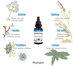 Calm Xtra - Herbal Aid for Stress, Separation Anxiety, and Hyperactivity