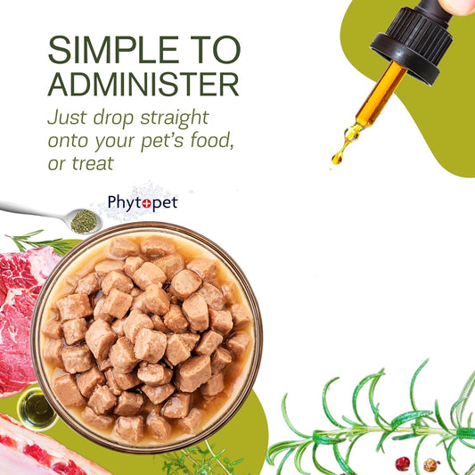 Ease - Turmeric and Boswellia Complex for Joint Support