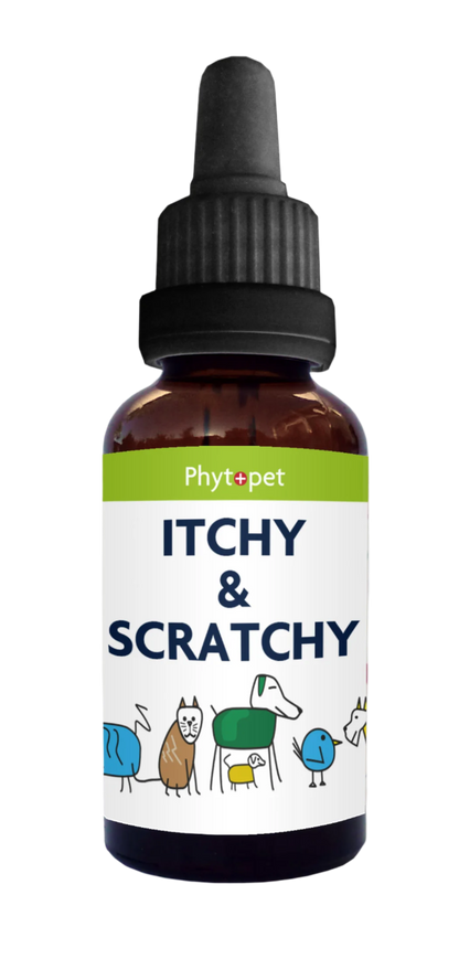 Herbal Itchy & Scratchy (AKA Allergy Aid) Aid