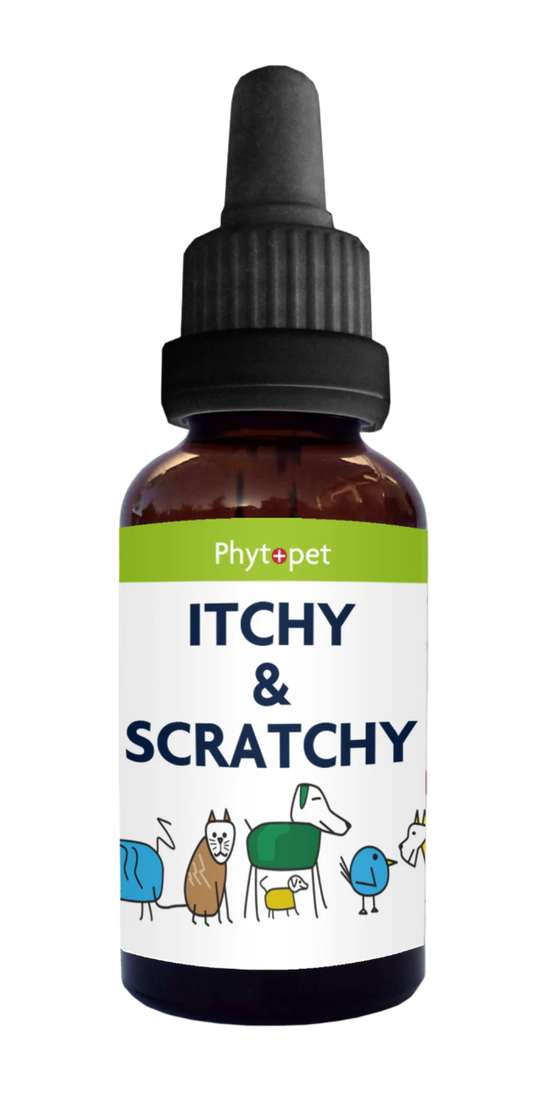 ‍Herbal Itchy & Scratchy (AKA Allergy Aid) Aid (100% off)