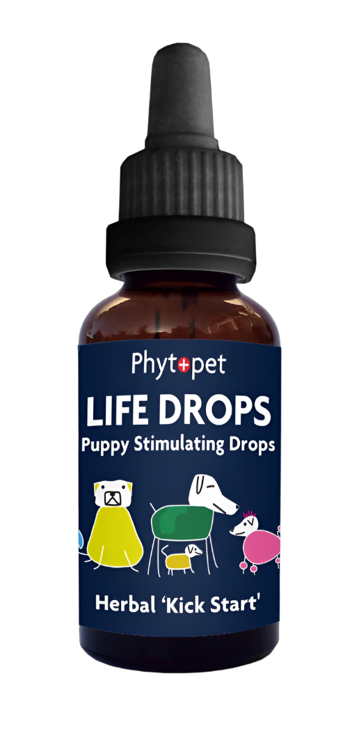 Phytopet Life Drops 10ml - Herbal 'Kick Start'