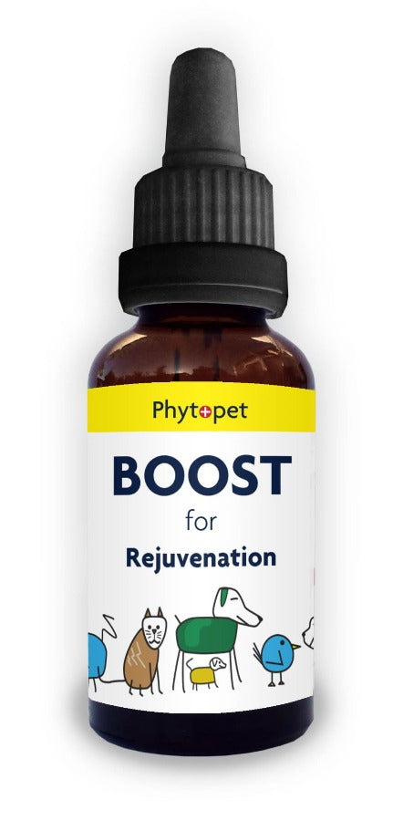 Boost