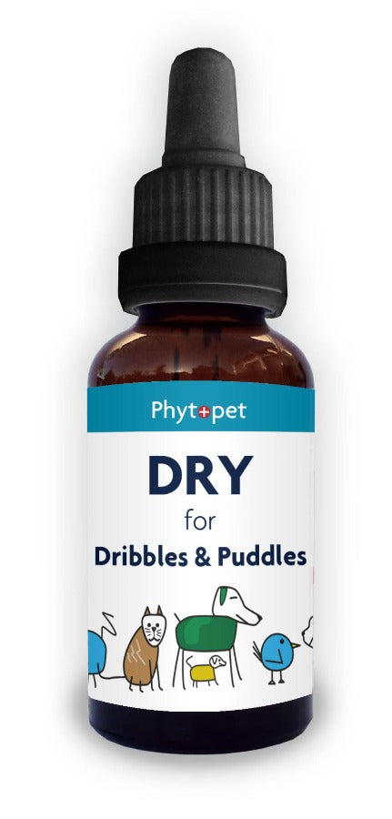 Dry - Herbal support for Dribbles and Puddles