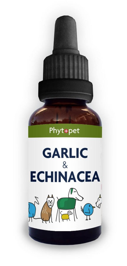 Garlic & Echinacea Complex